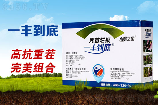 快看!死苗烂根危害大,及时防治不能等! 快看!死苗烂根危害大,及时防治不能等!